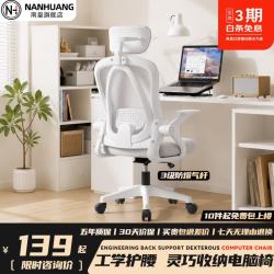 南皇 Nanhuang）人体工学椅办公室电脑椅办公椅靠背久坐不累人工力学座椅电竞椅子 商务灰-带头枕-尼龙脚