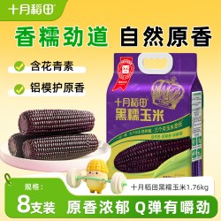 十月稻田 黄糯玉米白糯大棒东北苞米220gx8粘糯新鲜