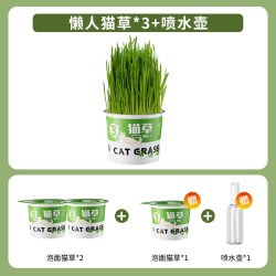 猫草盆栽种植助化毛懒人泡面猫草种子自种猫薄荷化毛猫咪零食用品