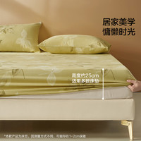 水星家纺 百丽丝澜叶拂风床笠 40S全棉 120cm×195cm