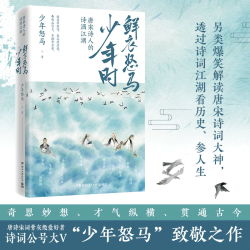 《鲜衣怒马少年时》套装2册