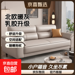 北欧风皮艺沙发客厅2026新款三人位双人位组合小户型现代 升级乳胶款-送两个抱枕