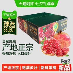 农鲜淘 猫超臻选会理突尼斯软籽 石榴 单果300-400g  5斤