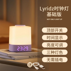 Lyridz 里睿小夜灯婴儿喂奶护眼充电款卧室床头睡眠灯遥控夜间定时