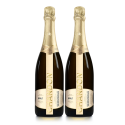 夏桐 Chandon天然高泡葡萄酒旗舰店金奖起泡酒750ml双支 香槟杯