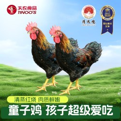 天农 正宗清远鸡小公鸡童子鸡鲜嫩清蒸孩子爱吃新鲜鸡肉土鸡走地鸡