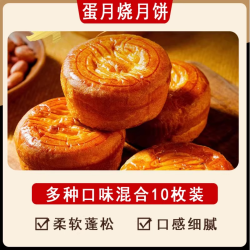 朱小二 蛋月烧月饼老式手工五仁口味中秋月饼多传统正宗黑芝麻糕点点心