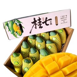 栀舒 广西 桂七芒 4.5斤装 特大果 单果250克+