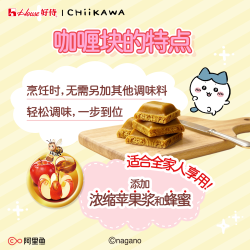 好侍 百梦多咖喱块日式家用调味料原味100g*3礼盒装