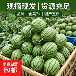 京东 正宗当季新品冰淇淋小糖丸西瓜时令新鲜手剥2K小吊瓜 小糖丸西瓜1.5-2斤（1粒）