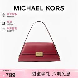 MICHAEL KORS 迈克高仕MK女包LUDLOW手拿单肩包腋下包