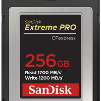SanDisk 闪迪 安全数字存储卡 SDCFE-256G-GN4NN 与相机兼 256GB 1700兆字节/秒 1400兆字节/秒 防水