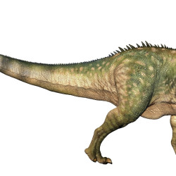 Papo - 手绘人偶 - Suchomimus - 恐龙 - 收藏品 - 适合儿童 - 男孩和女孩 - 适合 3 岁以上儿童