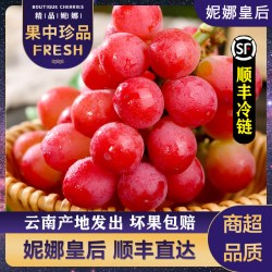 鲜果翠 妮娜皇后葡萄尼娜女皇孕妇水果提子新鲜水果当季礼品