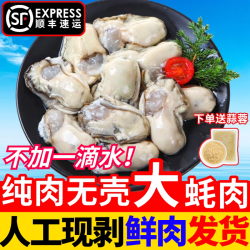 鲌鲜 生蚝鲜活现剥大生蚝肉新鲜牡蛎肉去壳纯生蚝肉海蛎子大号商用批发