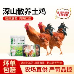 杨博士 童子鸡安徽高山散养小公鸡现杀鸡肉新鲜鸡子整只土鸡跑山鸡