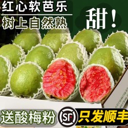 绿念 广西红心芭乐水果新鲜5斤番石榴软糯甜胭脂红巴当季整箱顺丰包邮