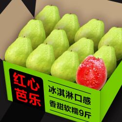 津果 广西红心芭乐软糯番石榴新鲜水果当季胭脂红巴乐水果整箱包邮3