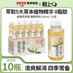 轻上 青颜 草本植物 金银花茶饮料