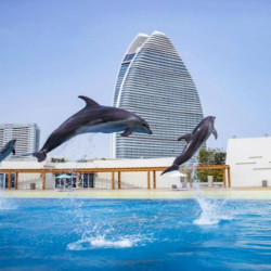 三亚亚特兰蒂斯酒店2晚+2大2小无限次畅玩水世界+水族馆+海豚见面会+F-film复游拍5张照片体验券+探班白鲸明...