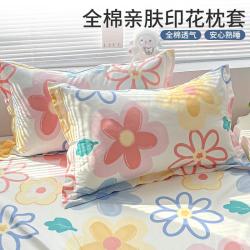红豆家纺 全棉枕套48x74cm一对装100%棉枕套家用床上用品成人换洗枕套2只