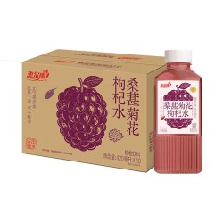 惠尔康 苹果黄芪水 420ml*10瓶 果汁饮料