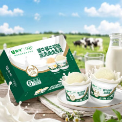 蒙牛 牛乳味冰淇淋500g大桶装冷饮雪糕冰淇淋 蒙牛牛乳味冰淇淋500g×1桶
