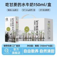 认养 水牛奶儿童高钙早餐奶吃甘蔗的水牛全脂纯牛奶7月日期 150mL*16盒