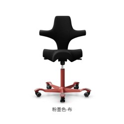 Flokk HAG Capisco骑马椅 电脑椅人体工学椅子靠背办公椅老板椅家用座椅