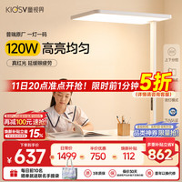 童视界 普瑞红光护眼大路灯 全光谱 120W 落地台灯