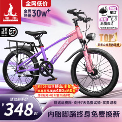 PHOENIX 星际 单速碟刹 粉紫 22英寸 山地自行车