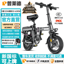 普莱德 RS6 电动自行车 48V20Ah锂电池 银黑色
