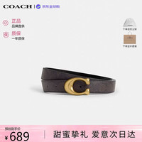 COACH 女士腰带SCULPTED针扣双面腰带 红棕色CEB6七夕礼物