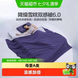 水星家纺 A类抗静电凉感夏被 纤维被