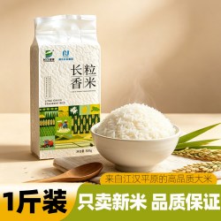 长江绿地长粒香米大米锁鲜装新米湖北农发国企背书高品质大米