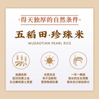 五稻田 东北大米 珍珠米 5kg