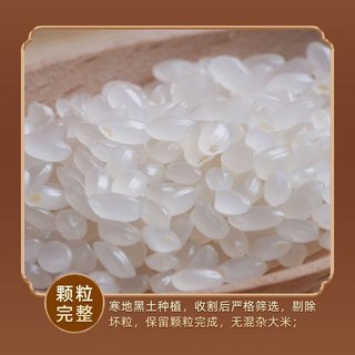 五稻田 东北大米 珍珠米 5kg