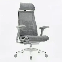 PLUS会员:Ergonor Pofit 2代 智能人体工学椅 银白色美国网