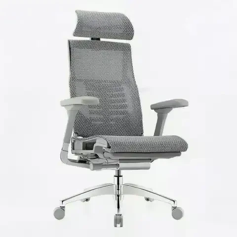 PLUS会员：Ergonor Pofit 2代 智能人体工学椅 银白色美国网