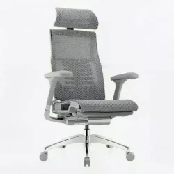 Ergonor Pofit 2代 智能人体工学椅 银白色美国网
