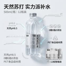 华洋 苏打水无气500ml瓶装整箱弱碱性水夏季饮品 苏打水500ml*24瓶
