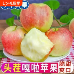 农果淳 新鲜嘎啦苹果应当季水果青红富士香甜冰糖心丑平果整箱包邮