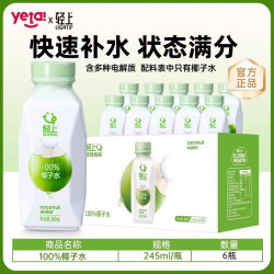 轻上 100%椰子水饮品东南亚进口椰子椰子汁含电解质饮料整箱装