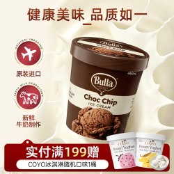 Bulla 薄荷巧克力曲奇香草大桶冰淇淋 460ml/290g