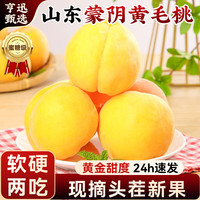 亨迅 蒙阴黄桃水果新鲜黄金蜜桃黄毛桃子脆甜应季时令生鲜 5斤装丨品质优选丨净重4.6斤