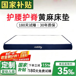 能见度 床垫1.8米x2米 天然椰棕床垫子棕垫硬棕榈婴儿童榻米专用定制定做 10CM