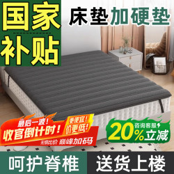 能见度 床垫硬垫子天然椰棕软床垫加硬神器护腰护脊租房专用1米5的床垫子 高硬