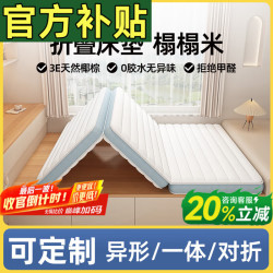 能见度 学生宿舍床垫椰棕棕垫硬棕榈床垫子天然乳胶榻榻米可折叠定做定制 定制任意