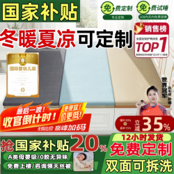 能见度 榻榻米专用床垫定制 日式地垫天然椰棕踏米炕垫塌米儿童双面定做 【