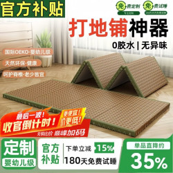 能见度 可折叠便携午睡垫办公室午休垫定制家用爬爬垫地垫椰棕打地铺神器